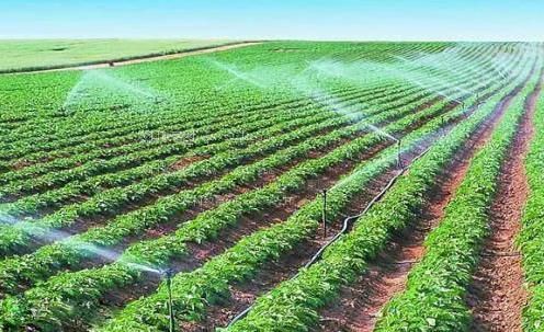 免费的黄色网站群交农田高 效节水灌溉